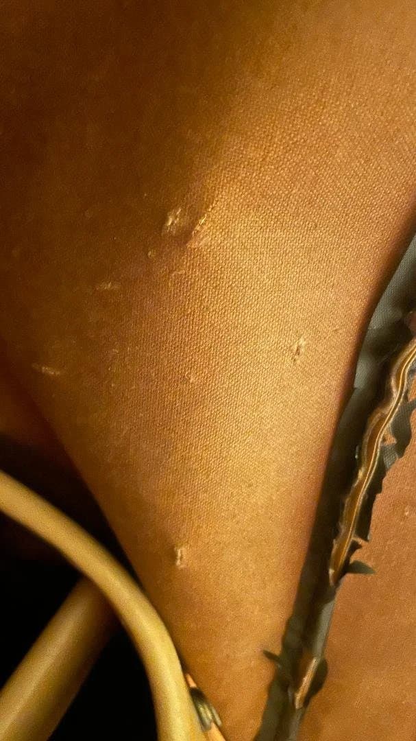 Louis Vuitton ゴルフバッグ・キャディバッグ