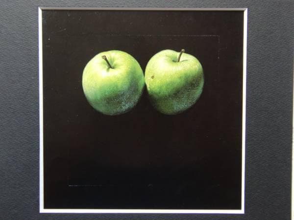野田弘志、林檎〈Ⅰ〉、希少画集画、新品高級額、額装付