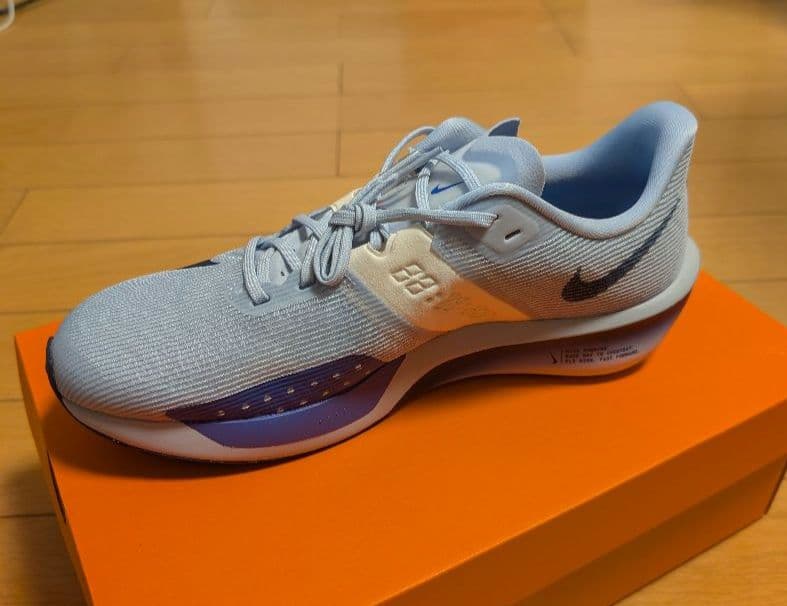 NIKE AIR ZOOM RIVAL FLY 4 ライバルフライ4【28cm】