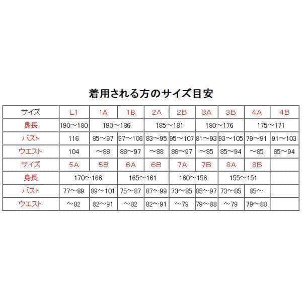 Ｌ１ 陸上自衛隊 リップストップ 迷彩服 Ｌ１