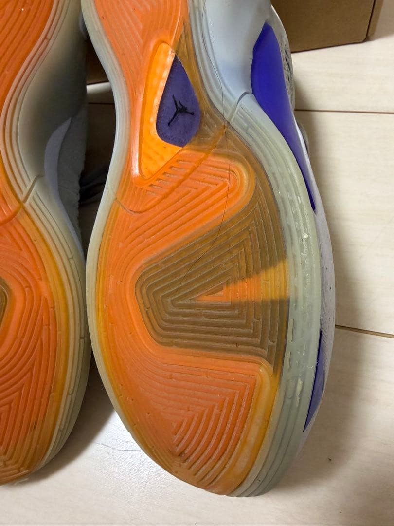 NIKE◇JORDAN LUKA 1 NEXT NATURE◇バッシュ　27cm