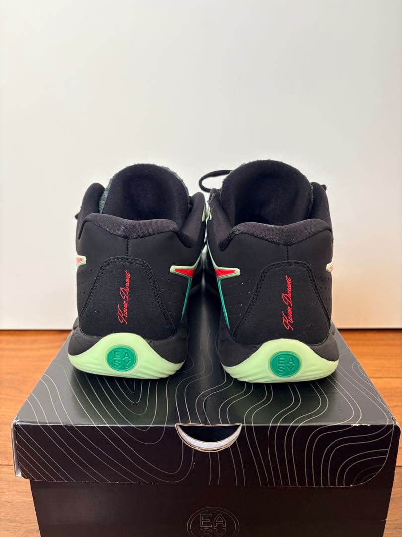 【30cm】NIKE KD17 EP