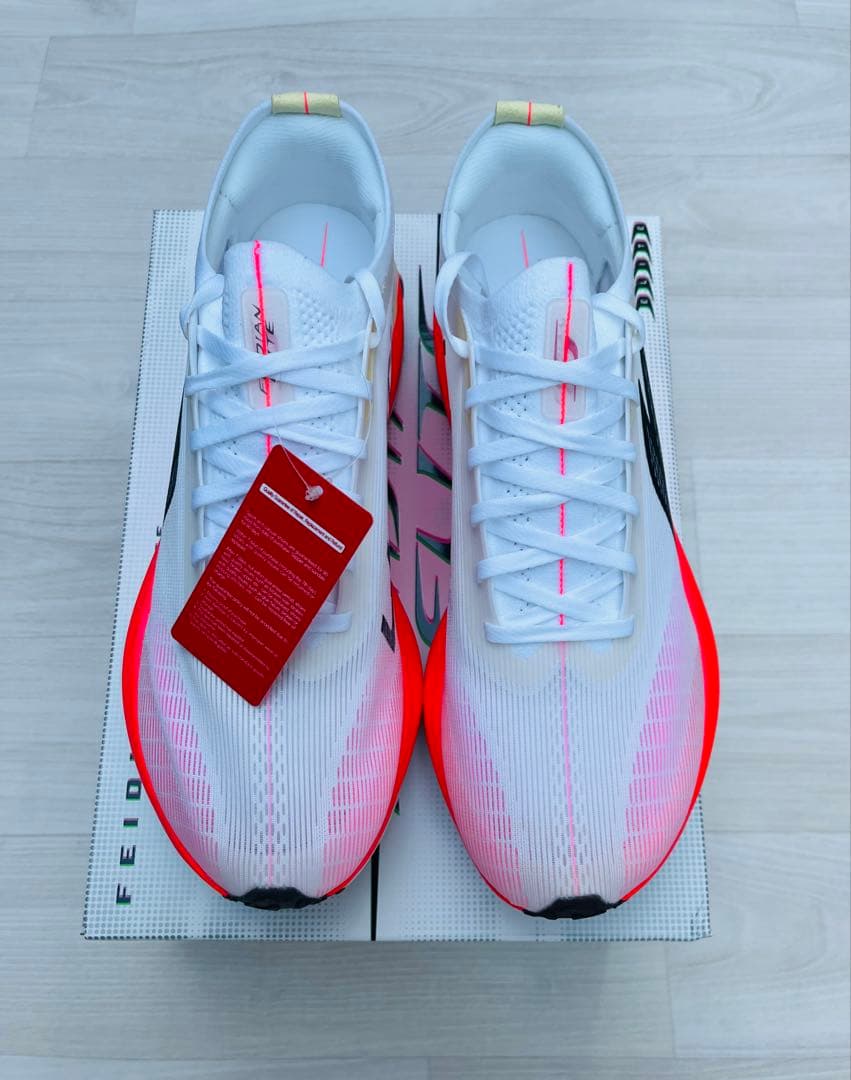 【希少】Li-Ning Feidian 5.0 Elite 27.0cm 1st