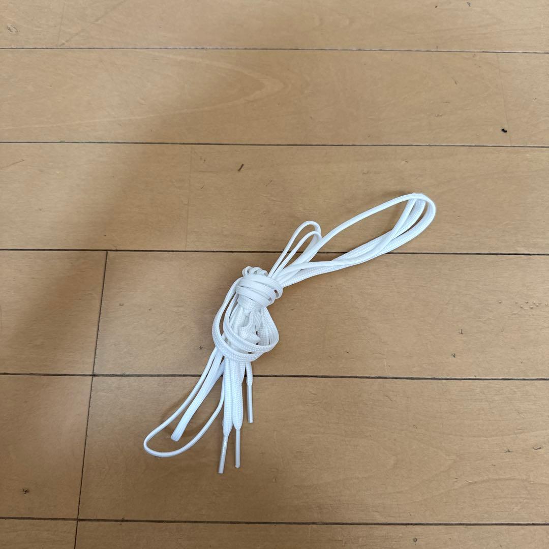 アシックス　 DS LIGHT X-FLY PRO2 LIMITED 26センチ