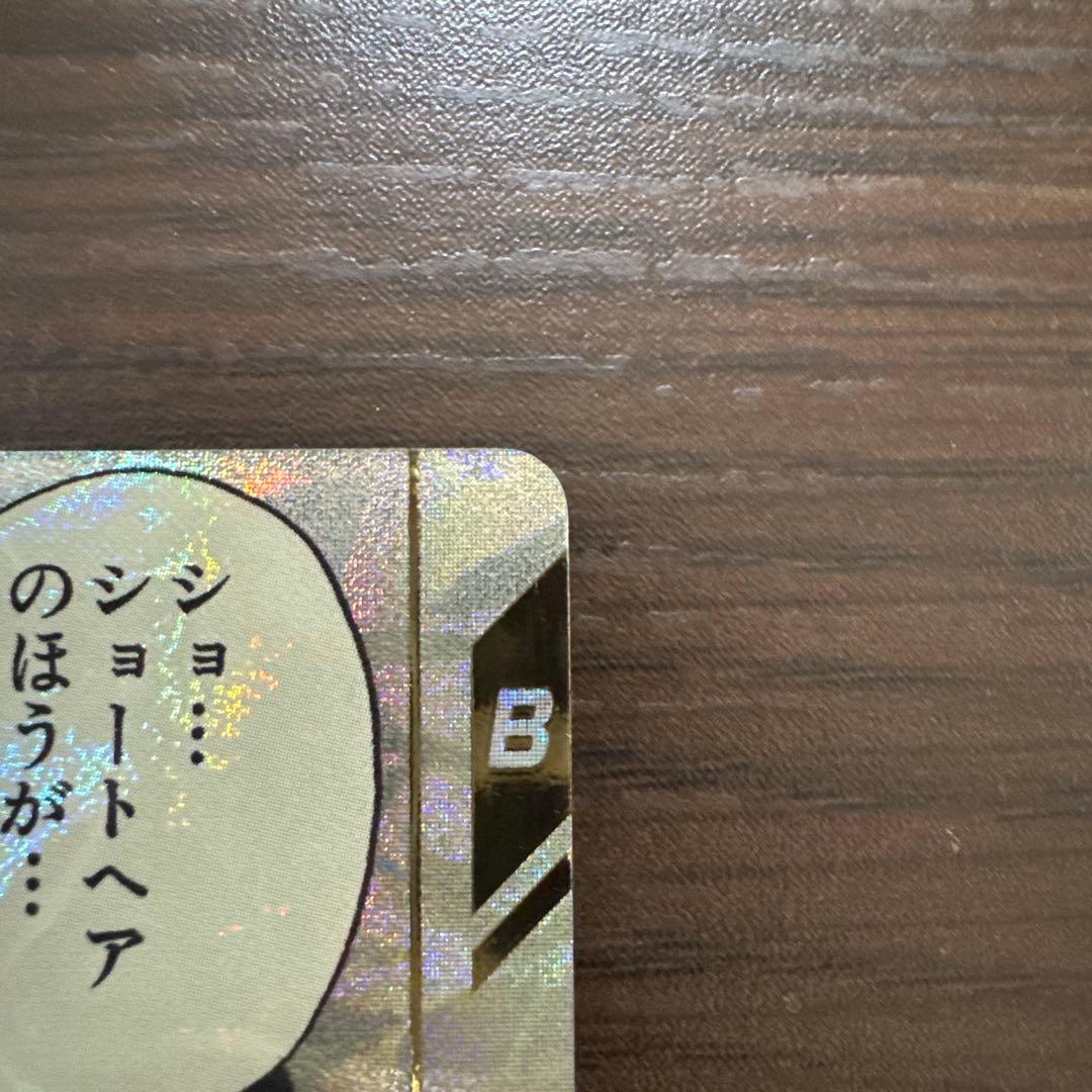 ドラゴンボールスーパーダイバーズ ビーデルパラレル
