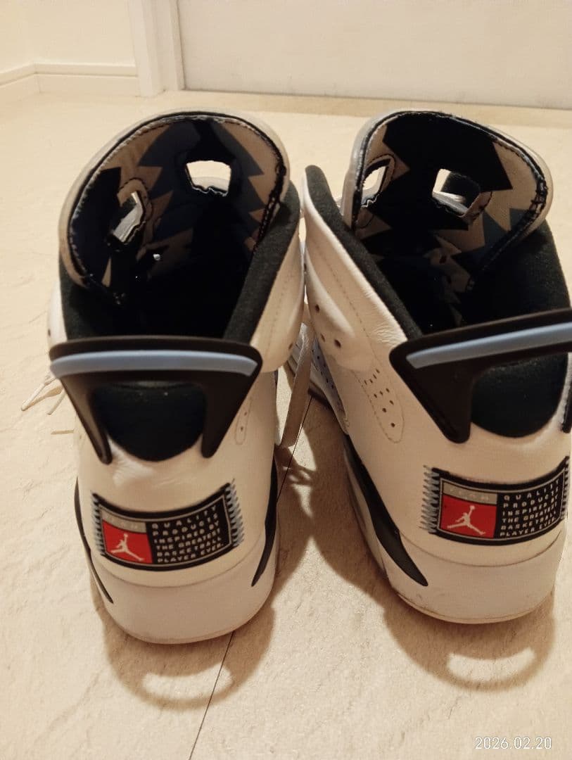 AIR JORDAN 6 RETRO UNC　28センチ
