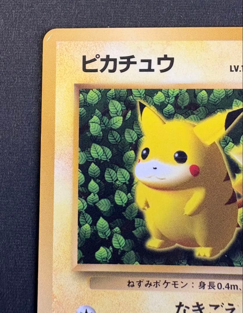 ピカチュウ 旧裏 コロコロ 付録 光沢有り 誤植版(Ken Sugimori)