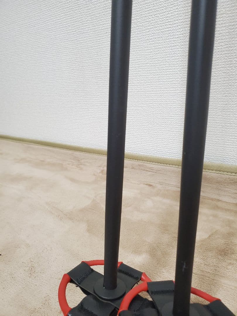SWIX AR112-E0 スキー ストック ブラック/レッド