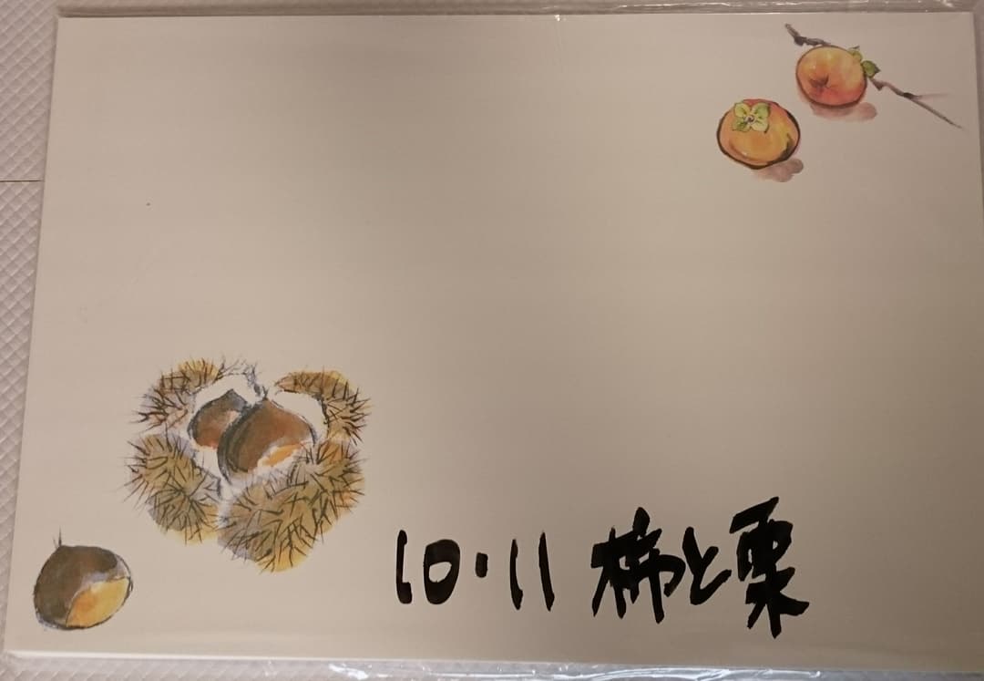 業務用 テーブル和紙