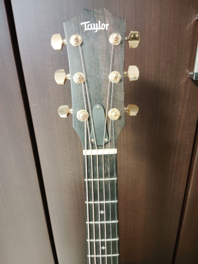 Taylor 224ce-K DLX エレアコ