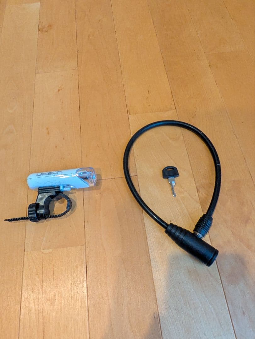 【更に値下げしました！】RITEWAY ZIT 20インチ