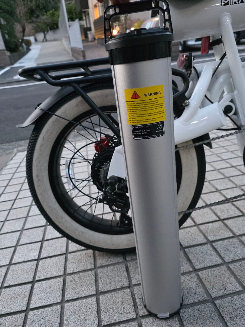 自転車本体 coswheel