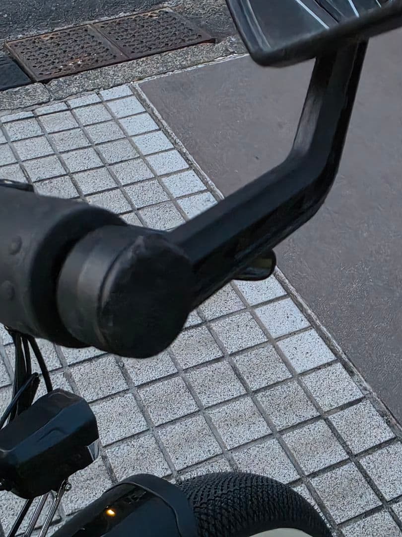 自転車本体 coswheel