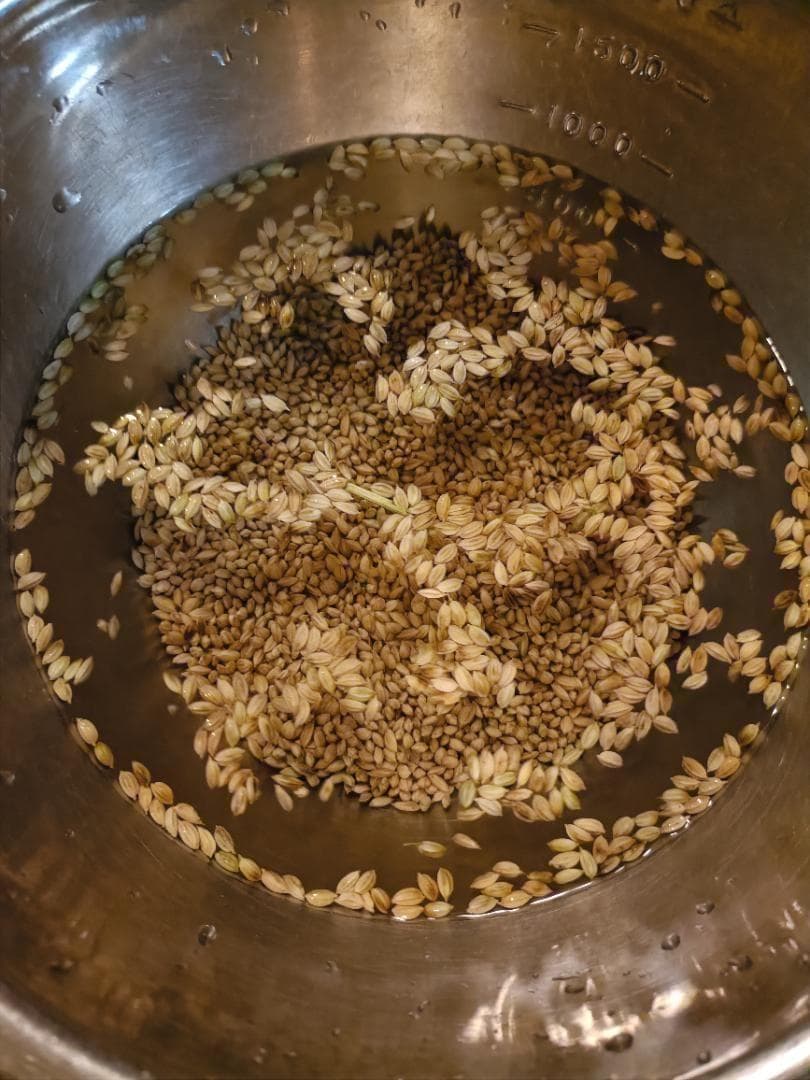 農薬不使用　7年産　ハッピーヒル（うるち）籾　1kg　種籾　陸稲