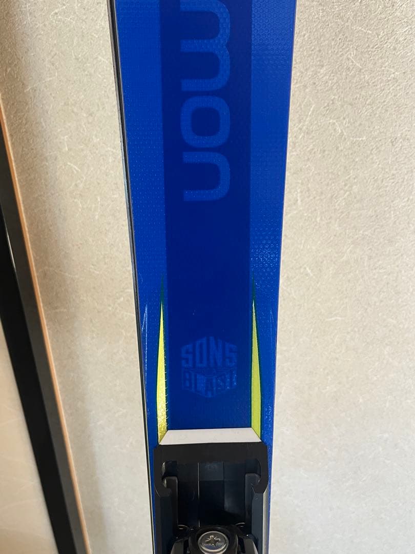 サロモンスキー　155cm RACE SL