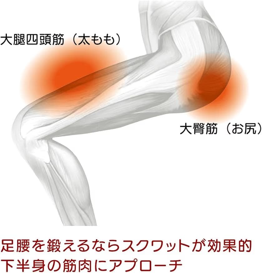 MIZUNO スクワットスリールα ＆ 座面カバー 定価16190円 ミズノ