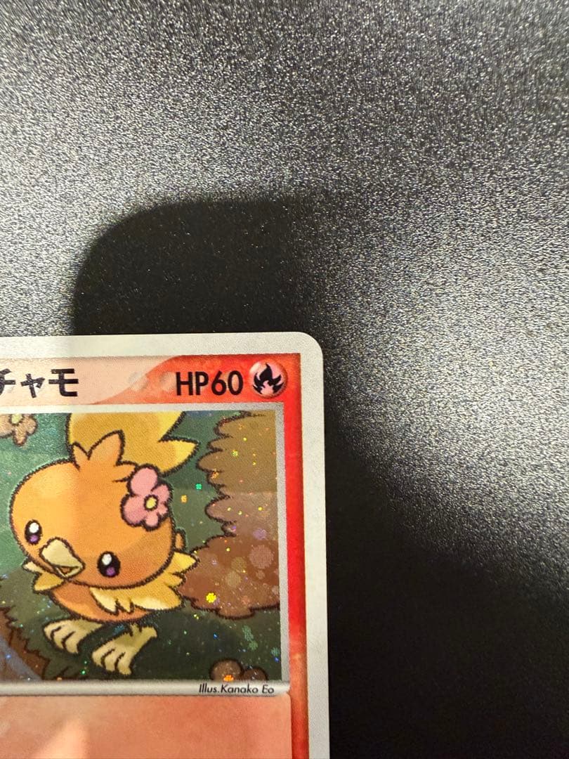 ポケパークのアチャモ
