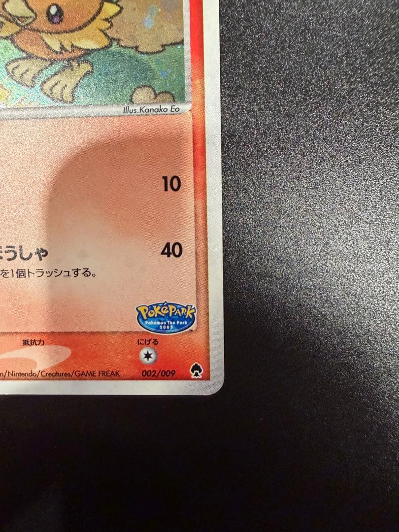 ポケパークのアチャモ