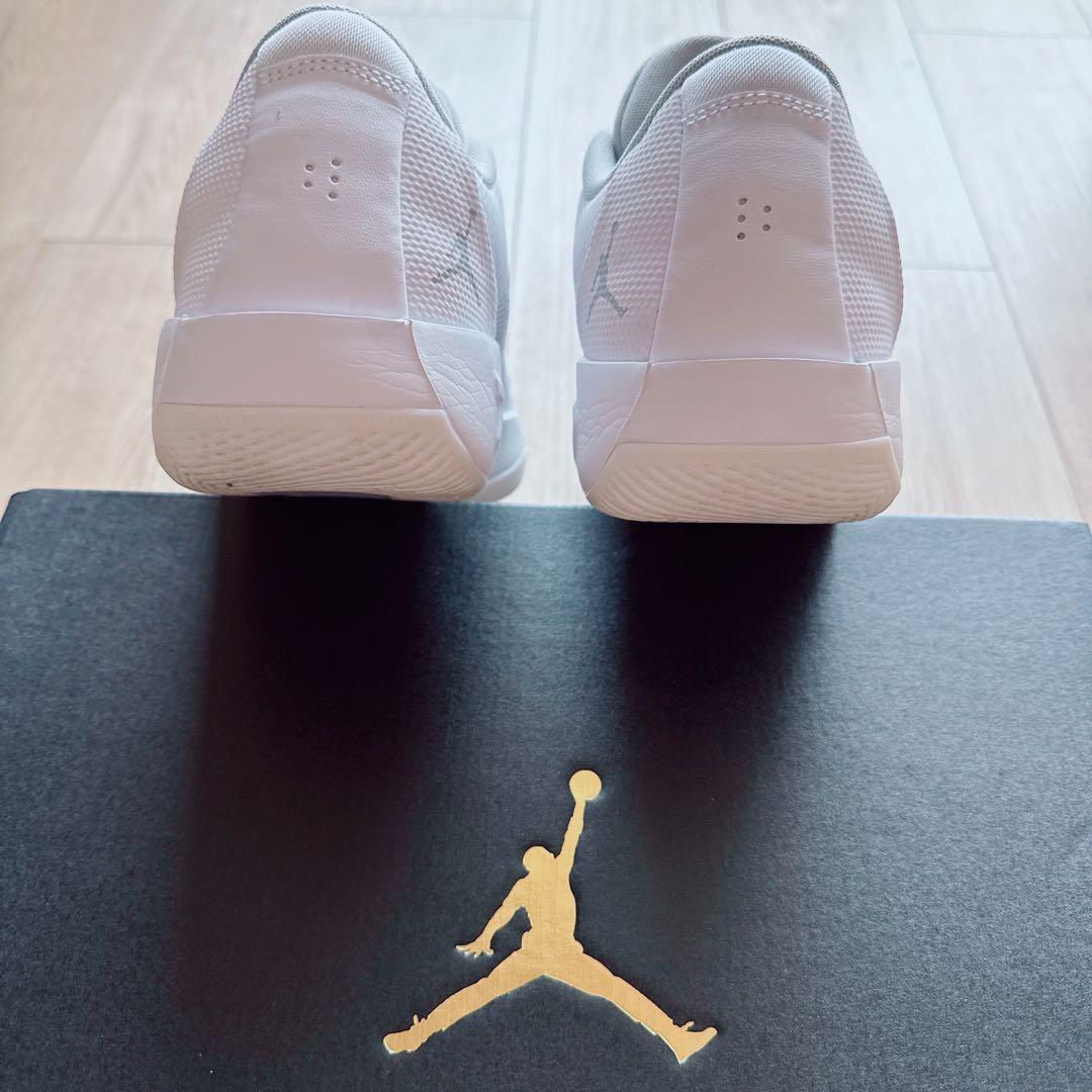 NIKE Jordan Luka .77 PF 29cm Zoom美品 箱付き