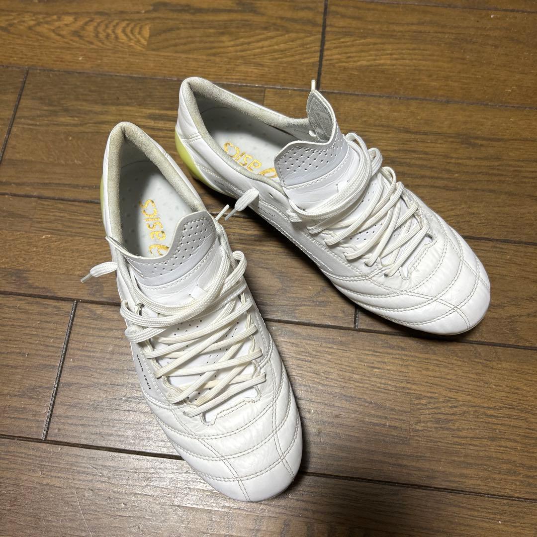 アシックス dsライト x fly4 24.5