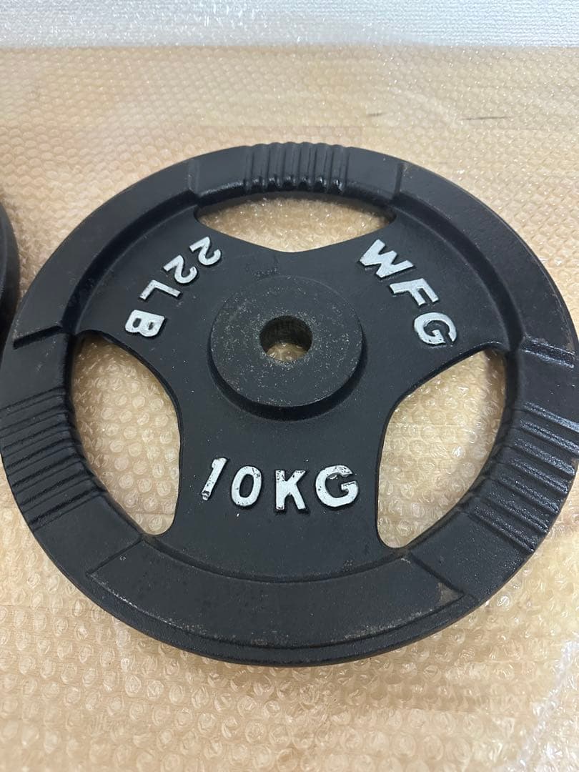 早い者勝ち WFG ワイルドフィット アイアンプレート 穴径10kg 2枚組