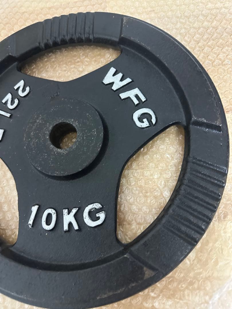 早い者勝ち WFG ワイルドフィット アイアンプレート 穴径10kg 2枚組