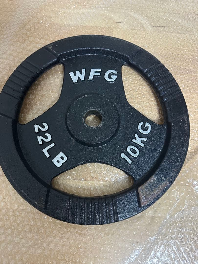 早い者勝ち WFG ワイルドフィット アイアンプレート 穴径10kg 2枚組