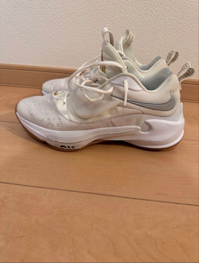 NIKE ズームフリーク3 ジョーダンluka1 2足セット