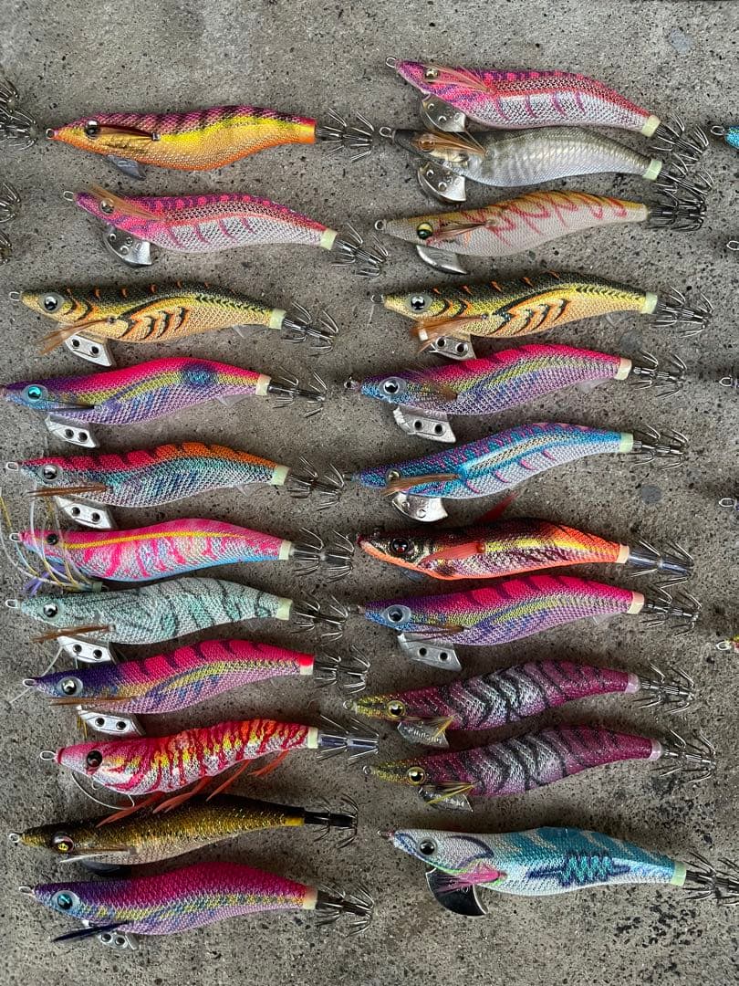 #エギ#アオリイカ#エギング#エギ王