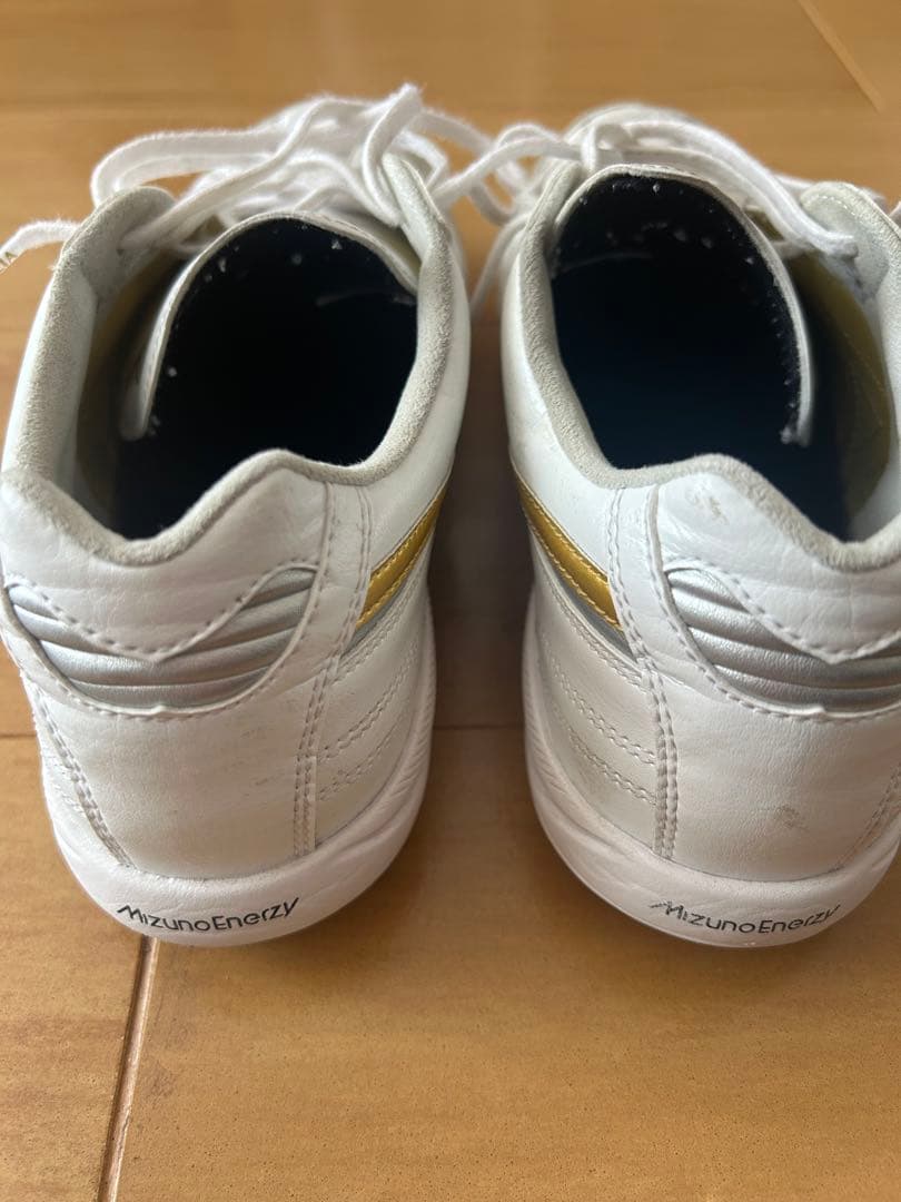 Mizuno Professional Model モレリア 24.0