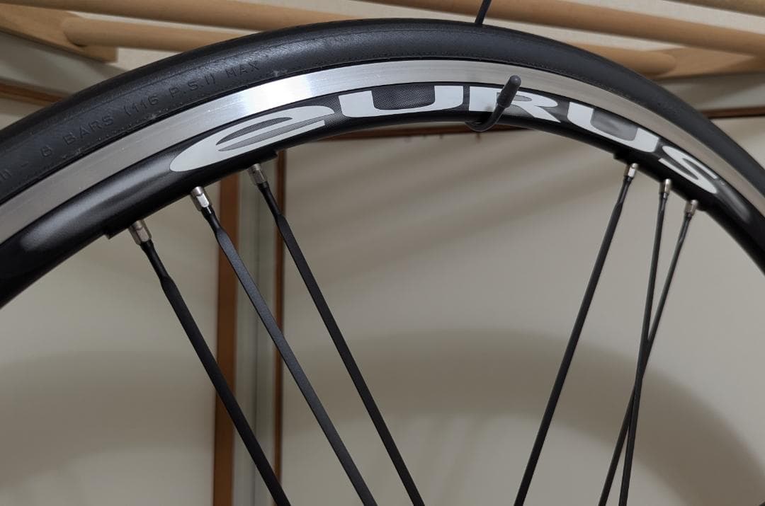 カンパニョーロ ユーラス【CAMPAGNOLO EURUS】G3 DPROリアホ