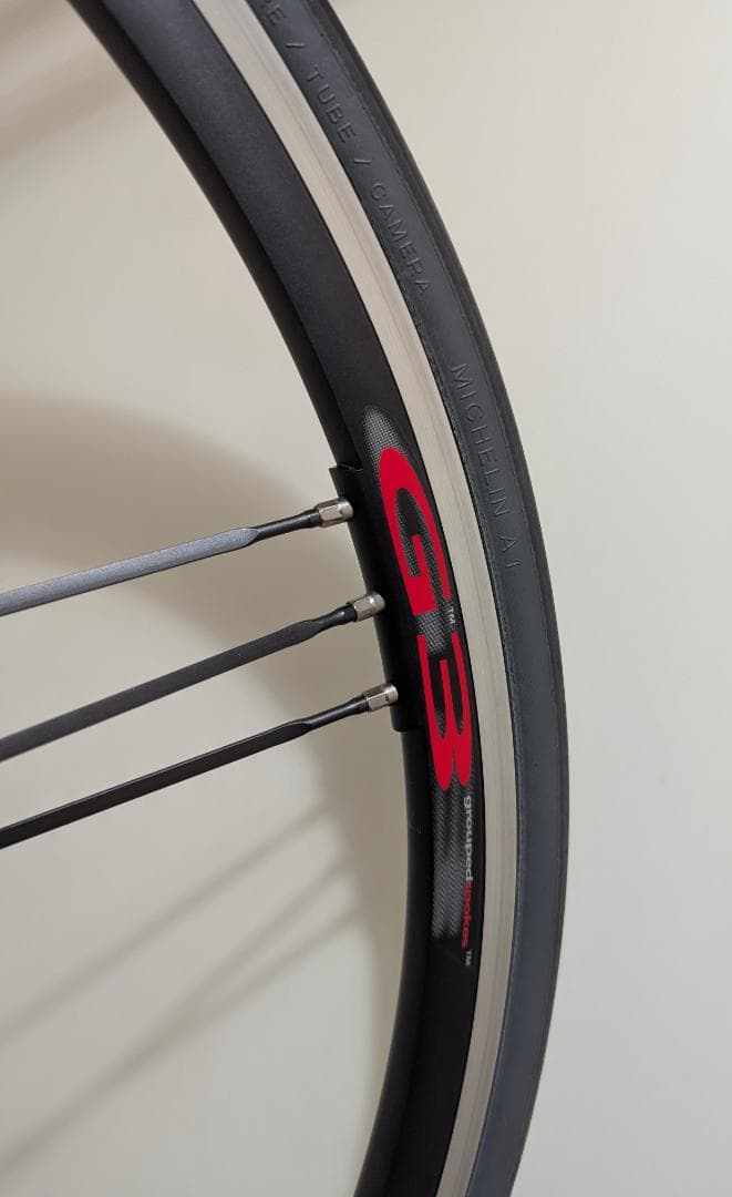 カンパニョーロ ユーラス【CAMPAGNOLO EURUS】G3 DPROリアホ