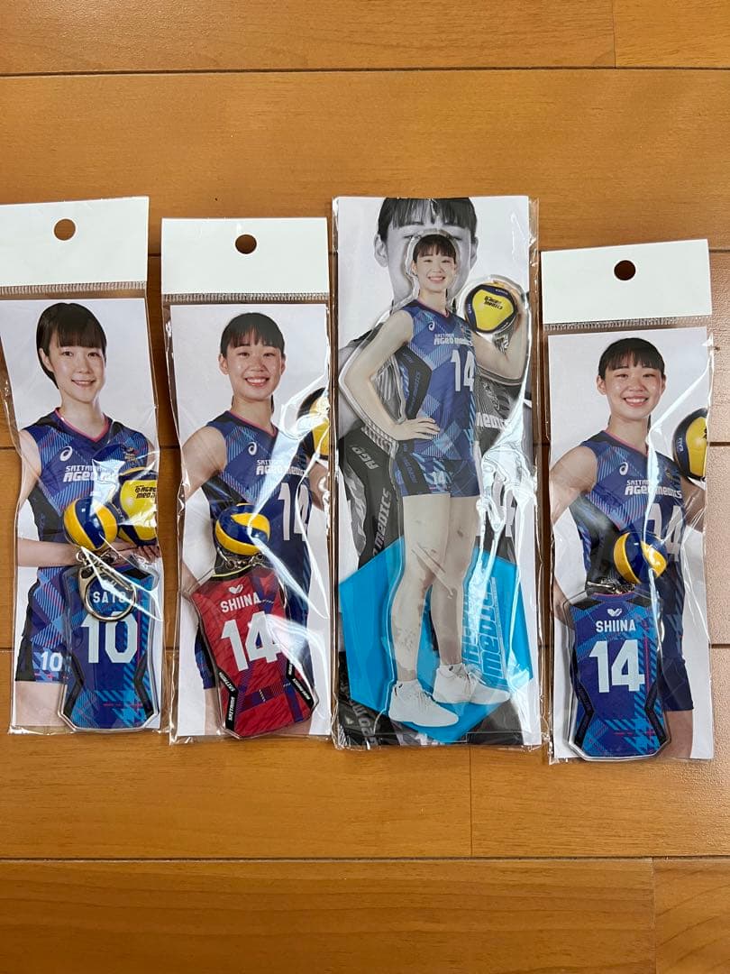 埼玉上尾メディックスバレーボール サイン入り+アクキー＋缶バッチ＋アクスタ