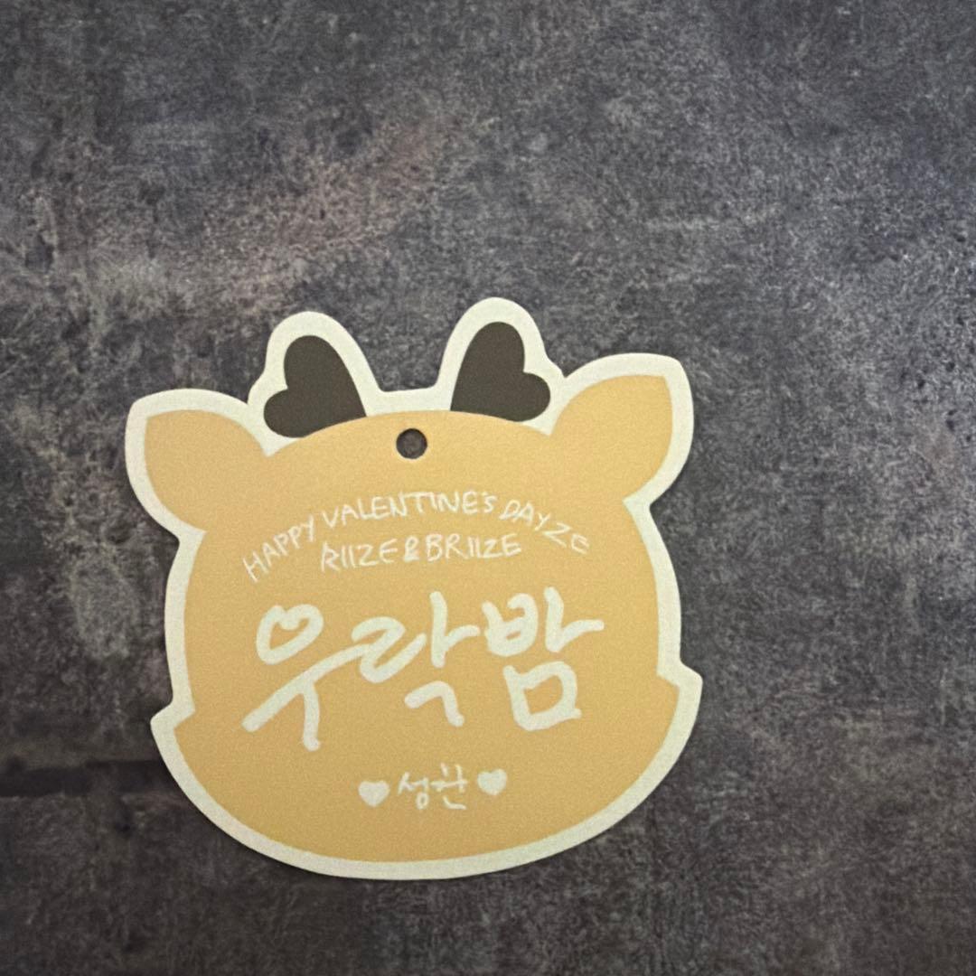 アイドル RIIZE SUNGCHAN little&10cm doll key ring