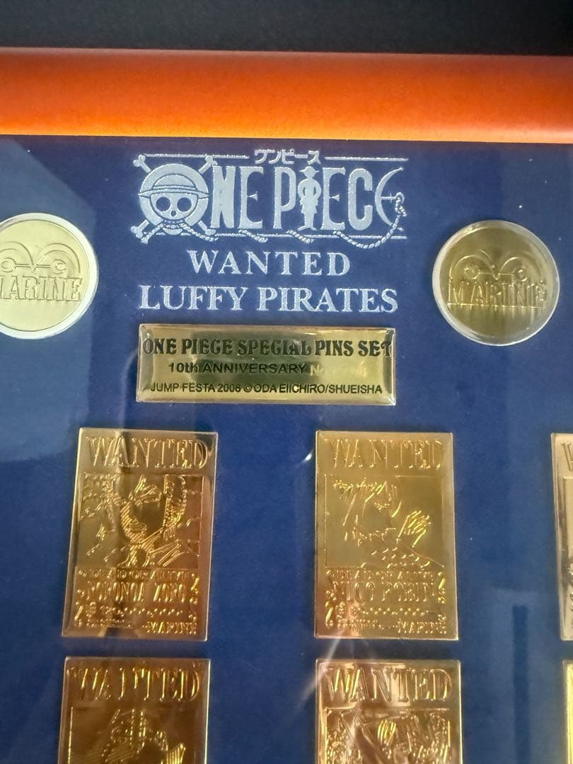 【珍しい】ONE PIECE ルフィ海賊団 ピンズセット 10周年
