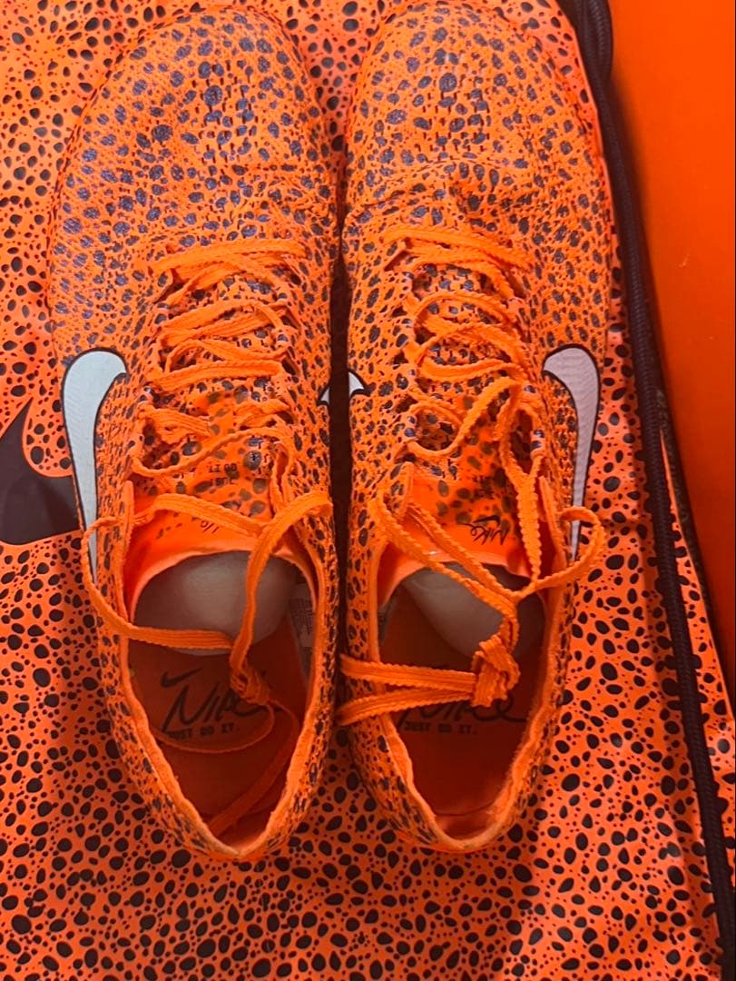 Nike ドラゴンフライ2 size【27.5cm】