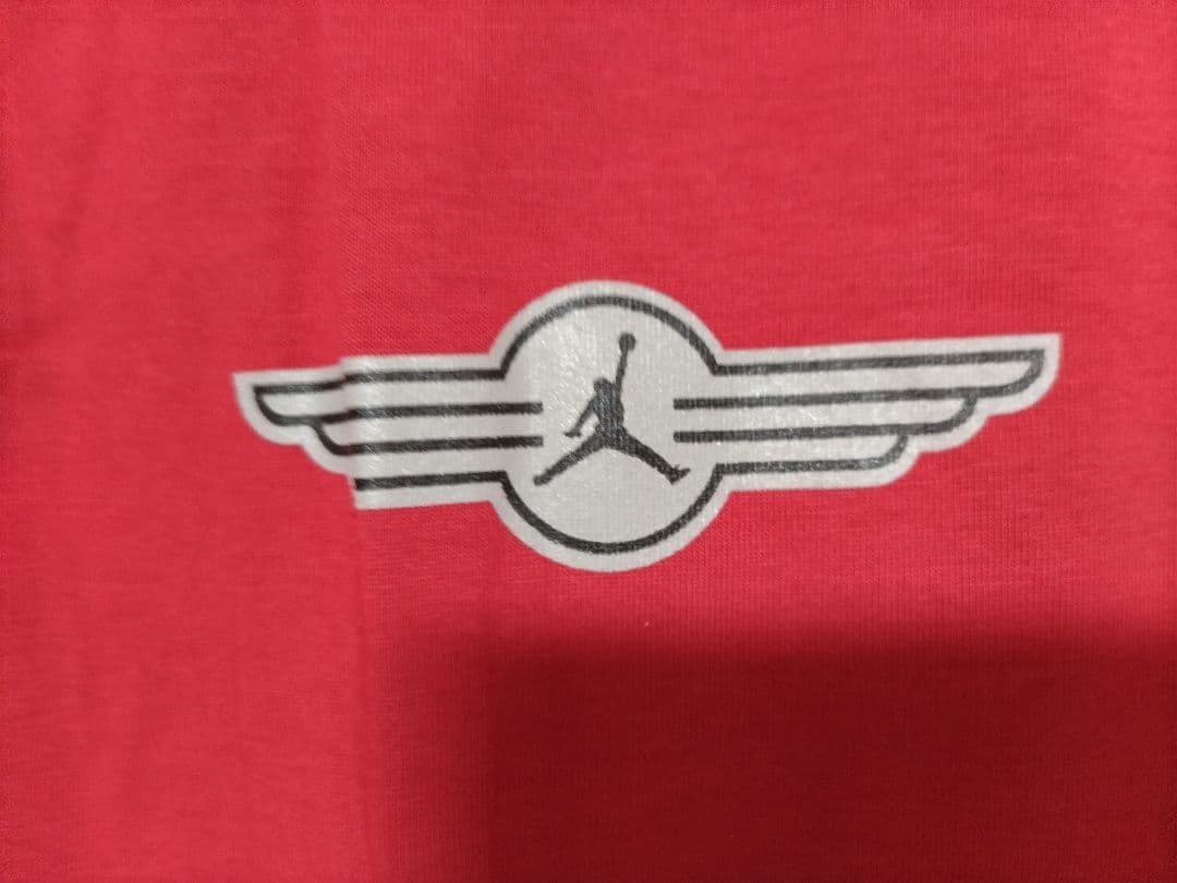 エアジョーダン DRI-FIT 半袖 Tシャツ（L114613-648）