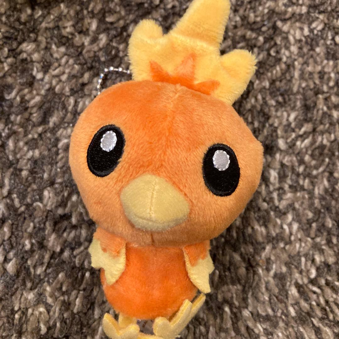 美品　ポケモンセンター限定 pokemon petit まとめ売り5点セット