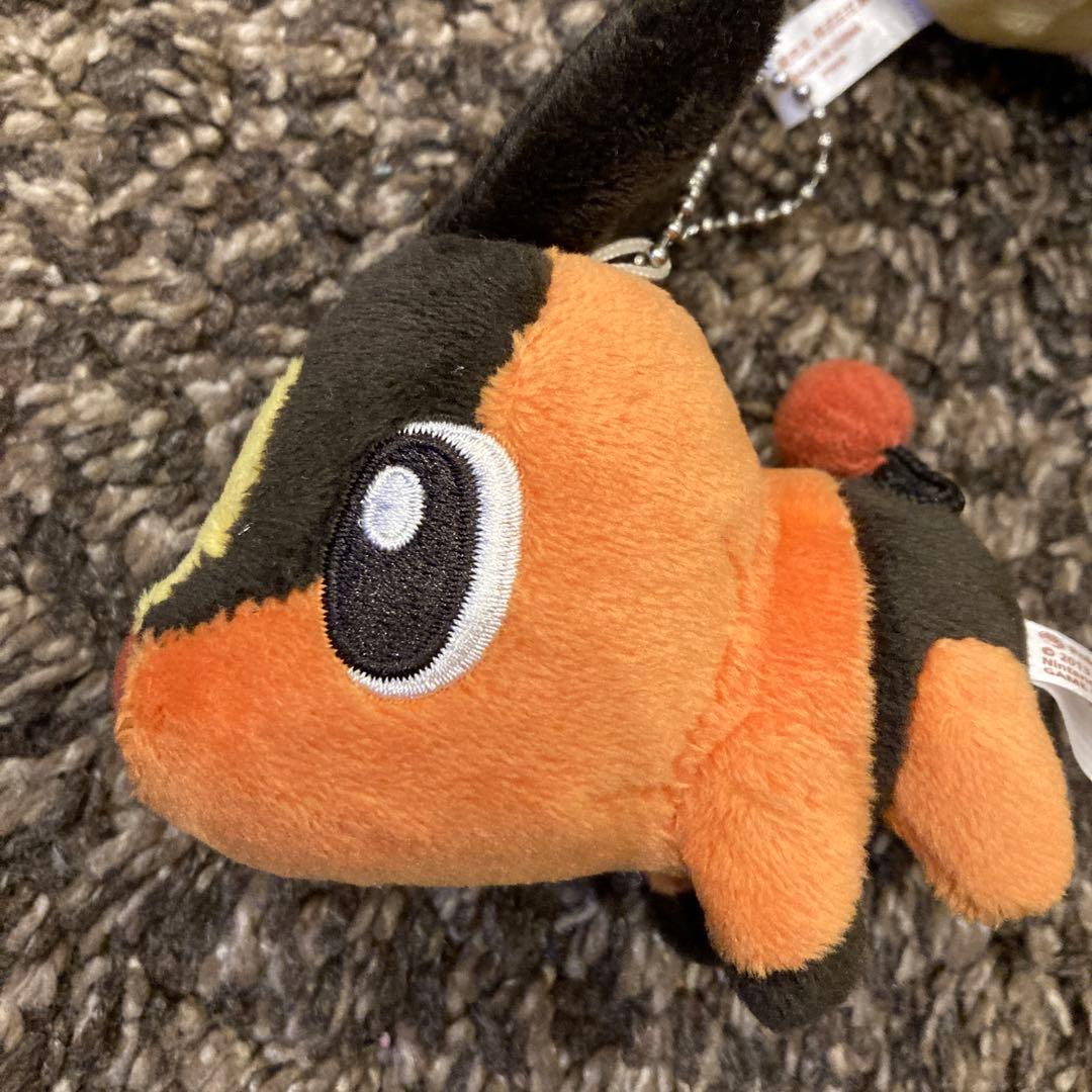 美品　ポケモンセンター限定 pokemon petit まとめ売り5点セット