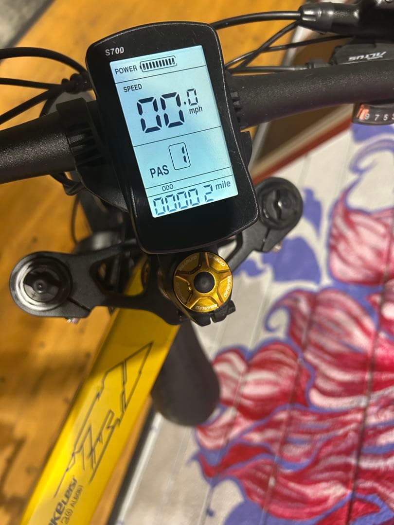ランケレイシ　Lankeleisi 電動自転車26インチ