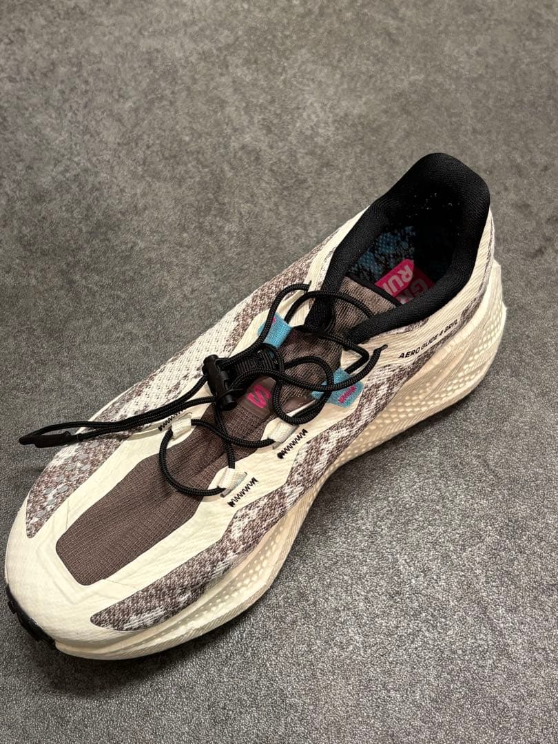 サロモン（SALOMON）ランニングシューズAERO GLIDE 4 GRVL
