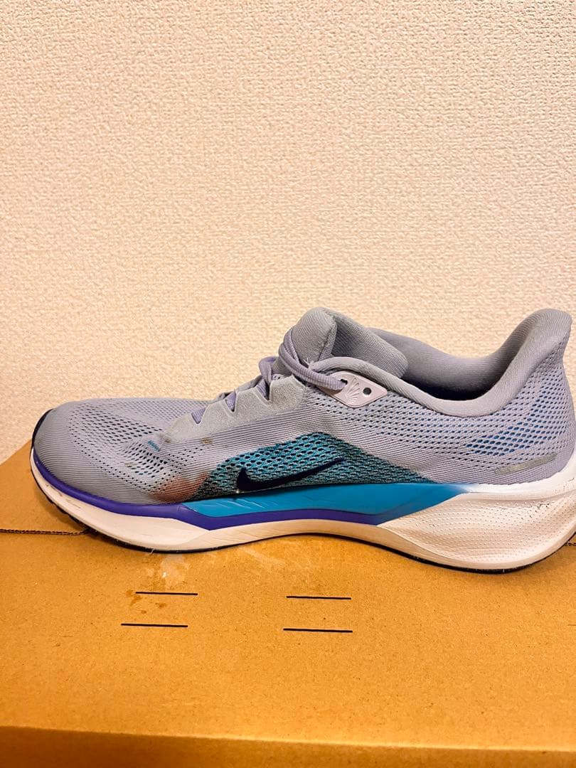 NIKE ズームペガサス41 28.0cm