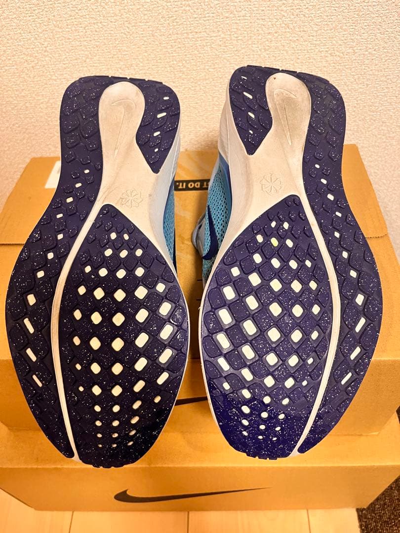 NIKE ズームペガサス41 28.0cm
