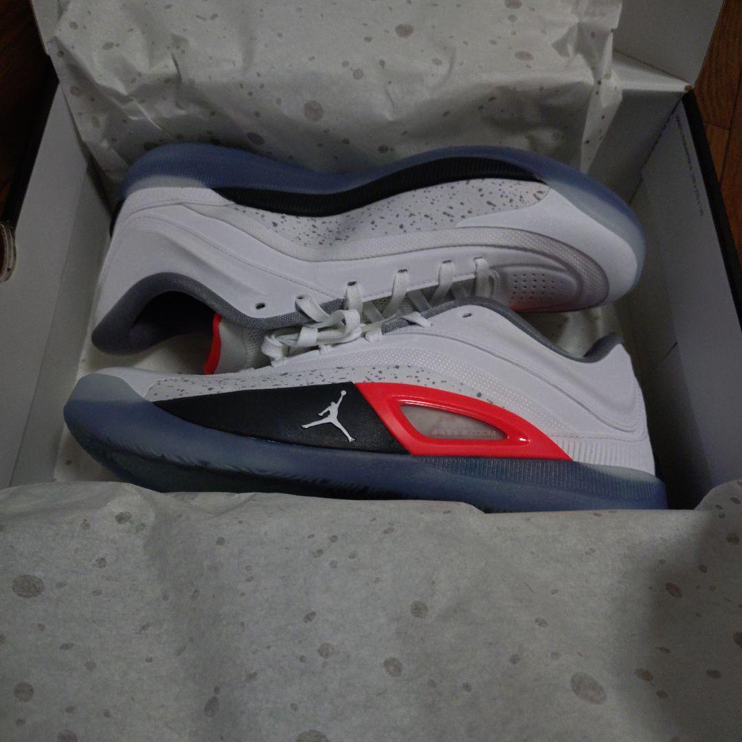 シューズ(男性用) NIKE JORDAN ZION 4