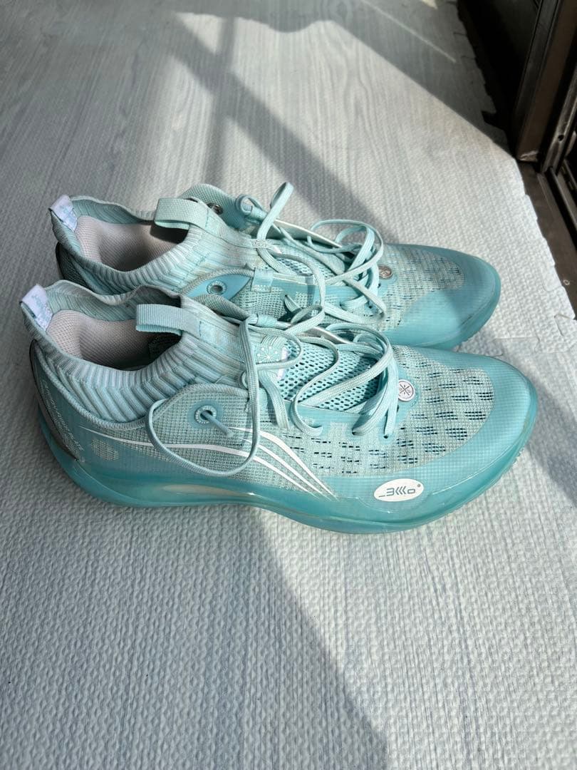 【最終値下げ】WayofWade 808 2UltraV2\"FamilyLove
