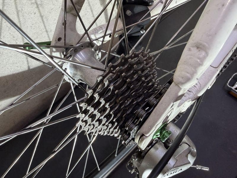 LOUISGARNEAU LGS CT NITTO キャリア付き ルイガノ