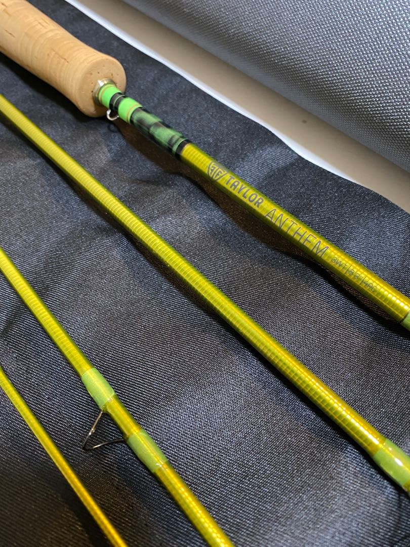 テイラー　TAYLOR ANTHEM 3WT 8'3 4PC