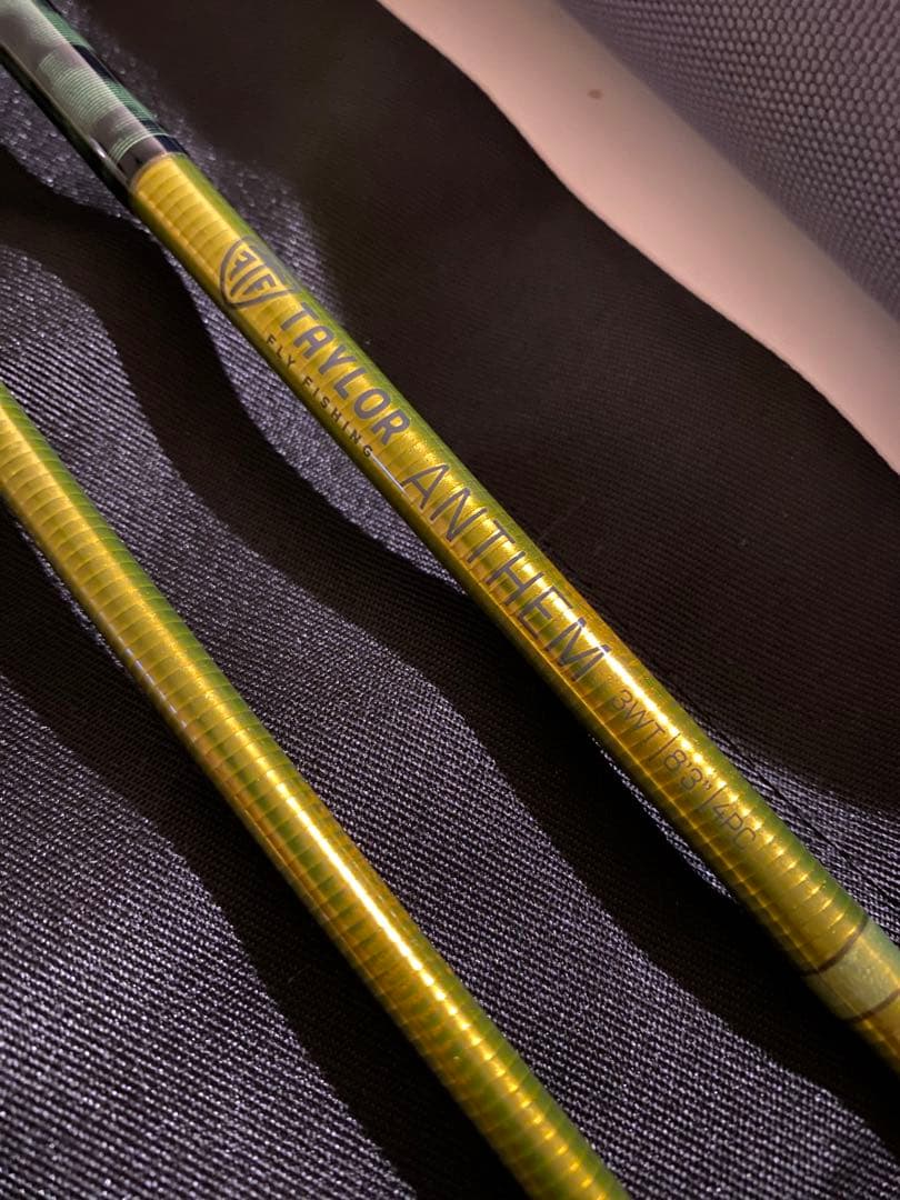 テイラー　TAYLOR ANTHEM 3WT 8'3 4PC