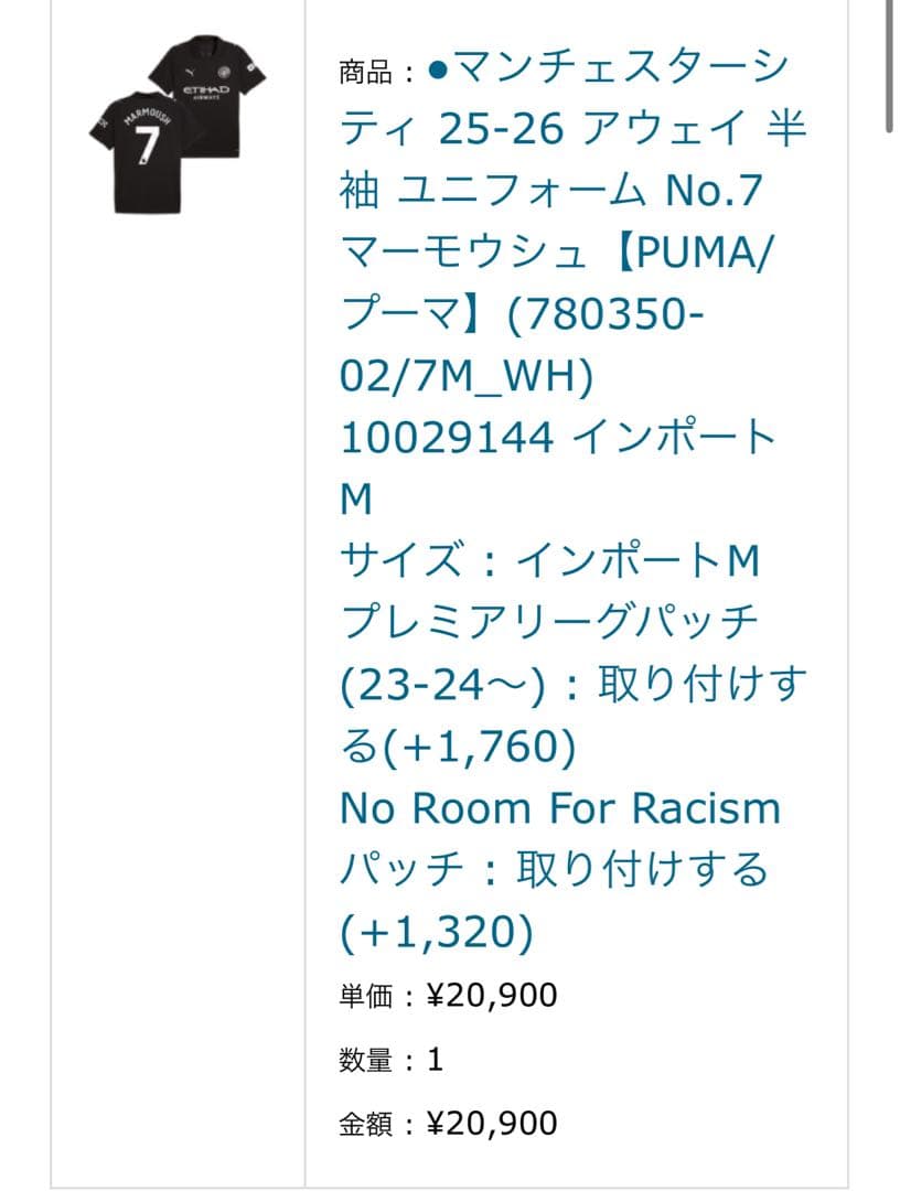 マンチェスター・シティ マルムシュ 25/26 3rdユニフォーム Mサイズ