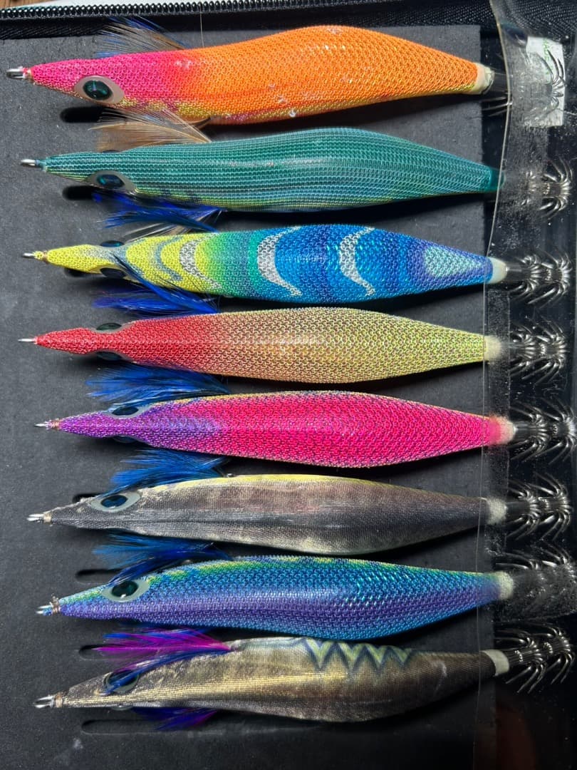 エギ 24個セット